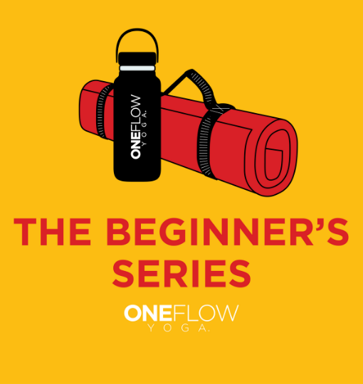 Beginner's Series Course